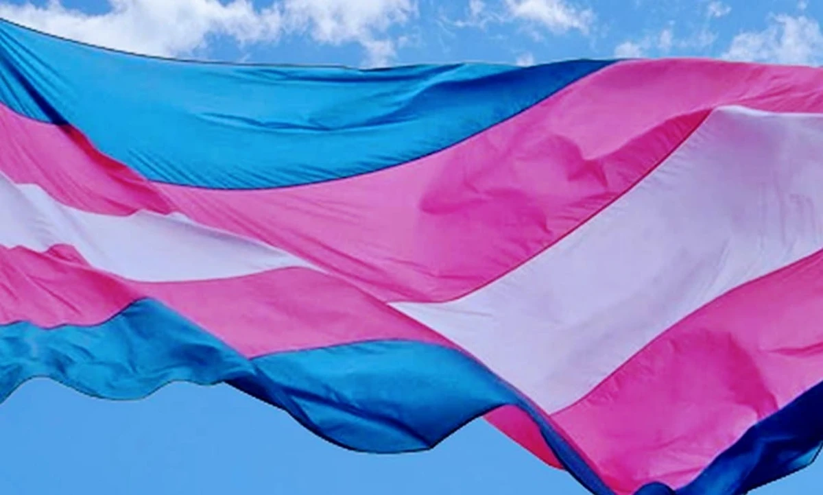 esses termos vêm passando por disputas de sentido e deslocamentos conceituais relevantes