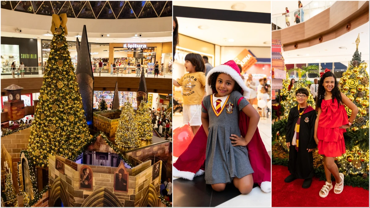 Fãs de Harry Potter terão programação especial no Shopping Paralela