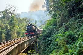 Trem da Serra do Mar por Reprodução