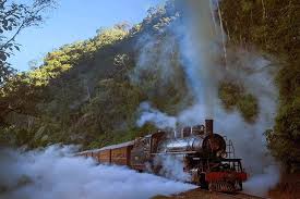 Trem da Serra do Mar por Reprodução