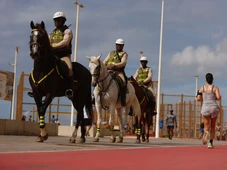 Imagem - 70 cavalos vão reforçar a segurança em Salvador durante o verão