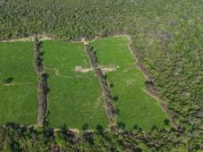 Imagem - Sistema de irrigação e alojamentos: polícia descobre mega plantação de maconha no Oeste da Bahia