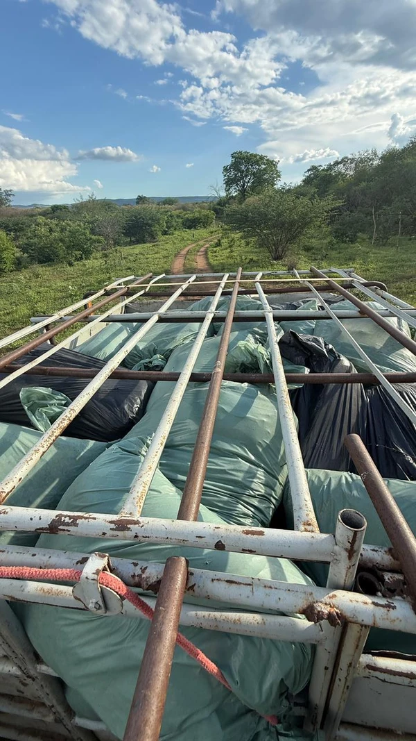 Operação combate tráfico de drogas por Divulgação