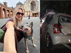 Imagem - Engenheira morre em acidente e cachorro é encontrado vivo ao lado da tutora