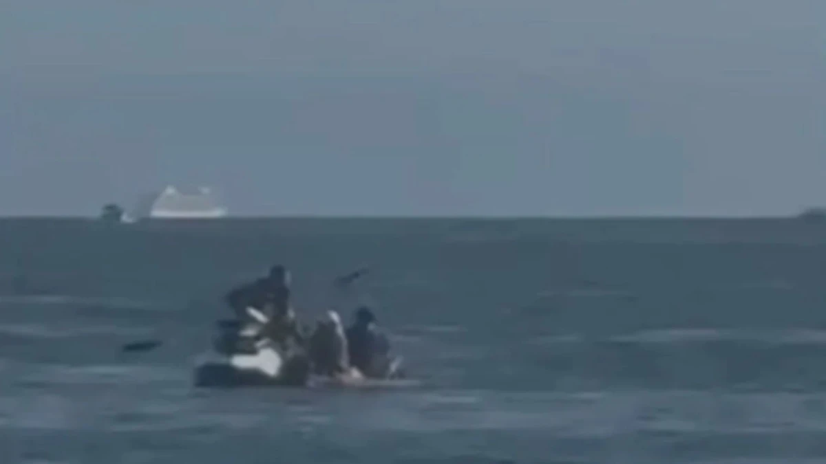 Caso foi registrado no litoral de SP