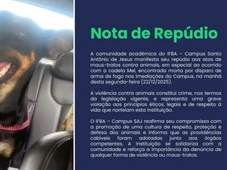 Imagem - Cadela adotada por alunos do IFBA é morta a tiros