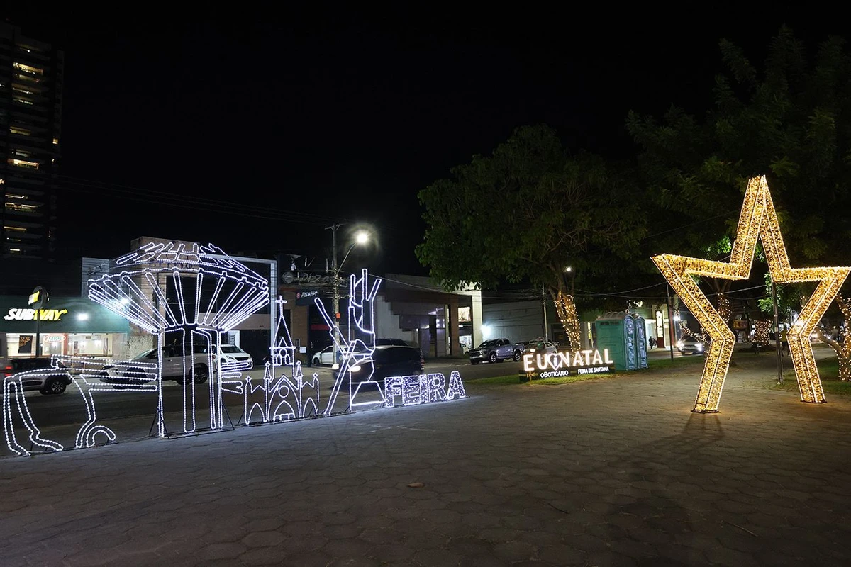 Decoração do Natal Encantado por ACM