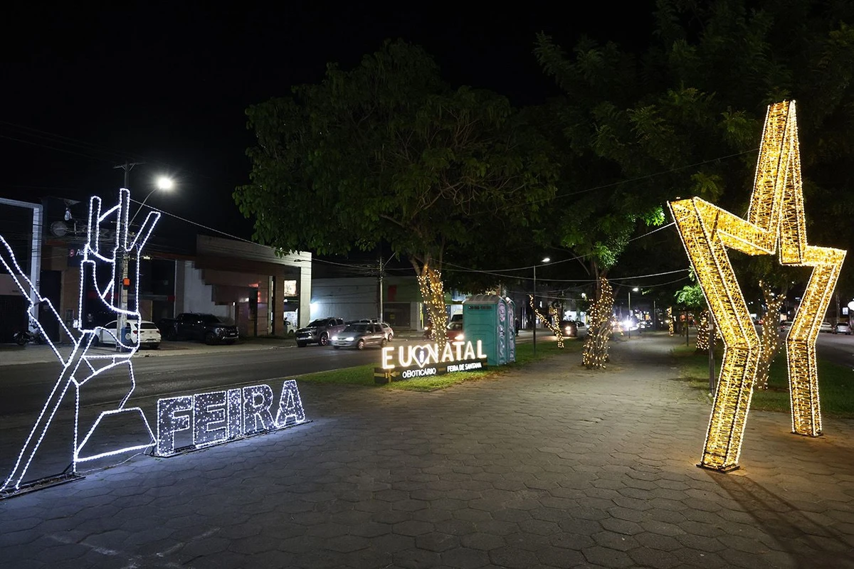 Decoração do Natal Encantado por ACM