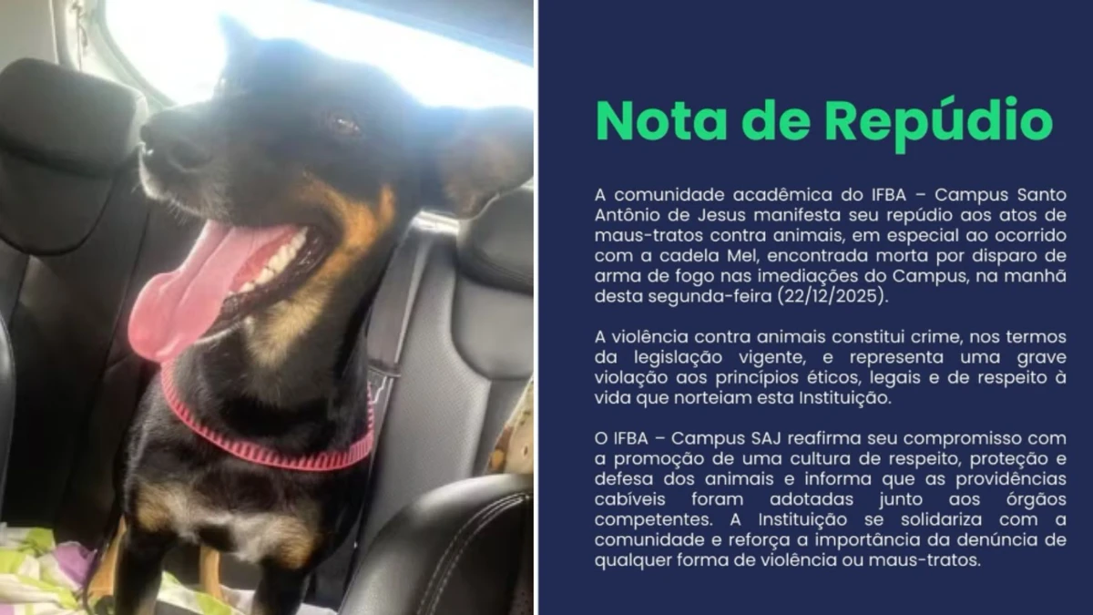 Instituição publicou nota de repúdio após morte de animal