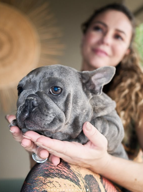 Paolla Oliveira, Diogo Nogueira e seus pets por Reprodução