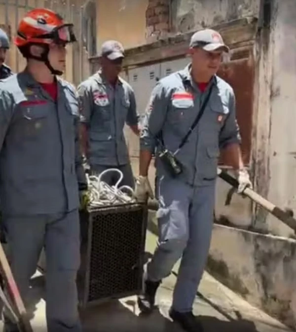 Animal foi retirado pelos bombeiros por Reprodução/EPTV