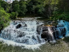 Imagem - Mulher é internada e passa por cirurgia após ser picada por cobra em destino famoso de Itacaré