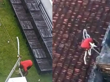 Imagem - Guarda Municipal detém homem por tentativa de invasão e roubo em  secretaria municipal de Salvador