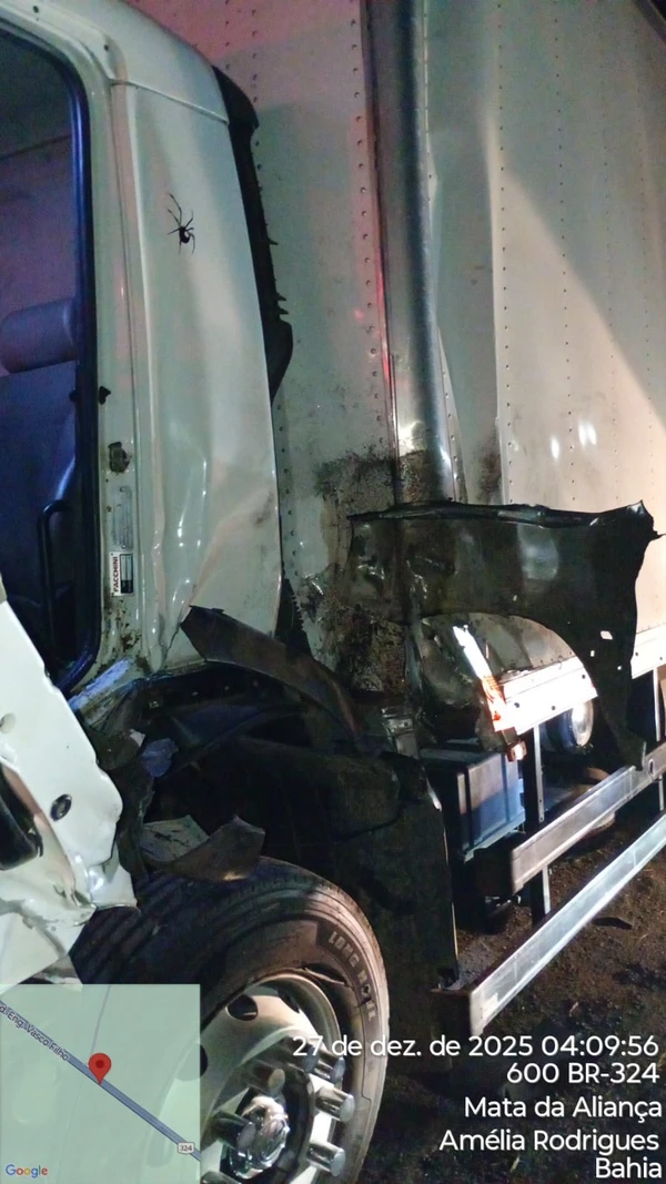 Homem morre após atropelar cavalo, atravessar canteiro central e bater de frente com caminhão na BR-324 por Reprodução