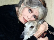 Imagem - Assessor de Brigitte Bardot revela detalhes inéditos de momentos antes da morte da atriz, aos 91 anos