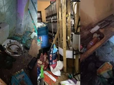 Imagem - Empresário é multado em R$ 85 mil por manter aves silvestres em ambiente insalubre