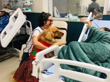Imagem - Pacientes de hospital em Salvador recebem visita especial de cão terapêutico