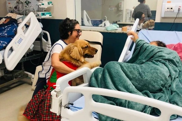 Pacientes de hospital em Salvador recebem visita especial de cão terapêutico