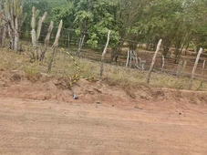 Imagem - Jogador de futebol morre após colisão com cavalo em estrada no interior da Bahia