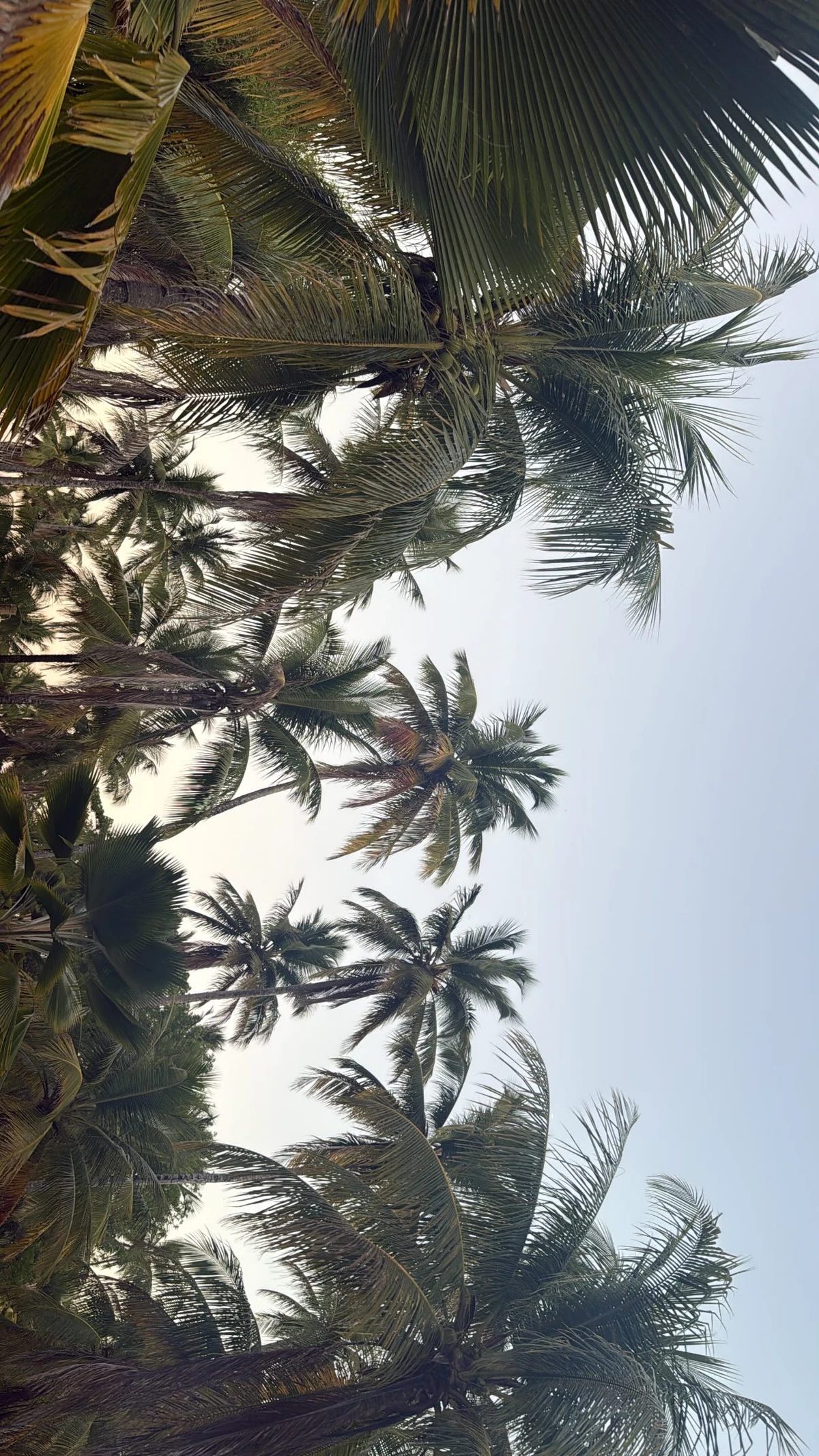 Caio Castro em Morro de São Paulo por Reprodução/Instagram