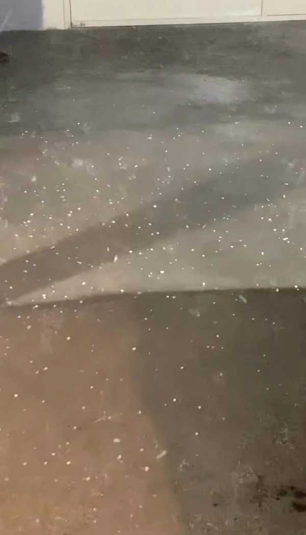 Chuva de granizo em Xique-Xique, na Bahia por Reprodução