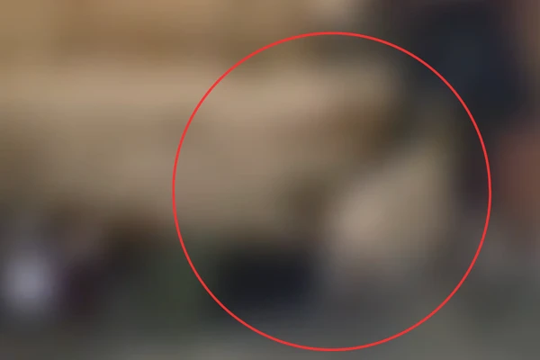 Criminosos registraram crime em vídeo por Reprodução