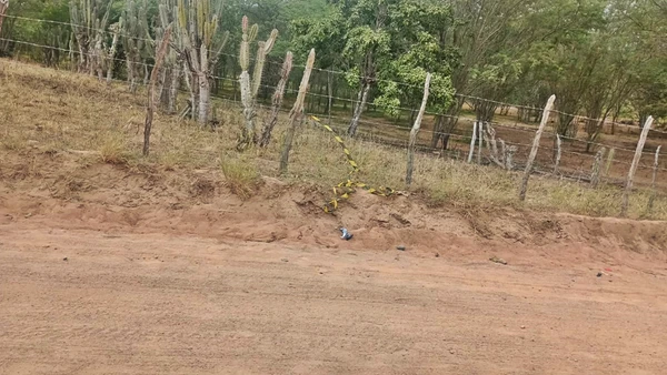 Jogador Lázaro Mota morreu após colidir com cavalo em estrada no interior da Bahia