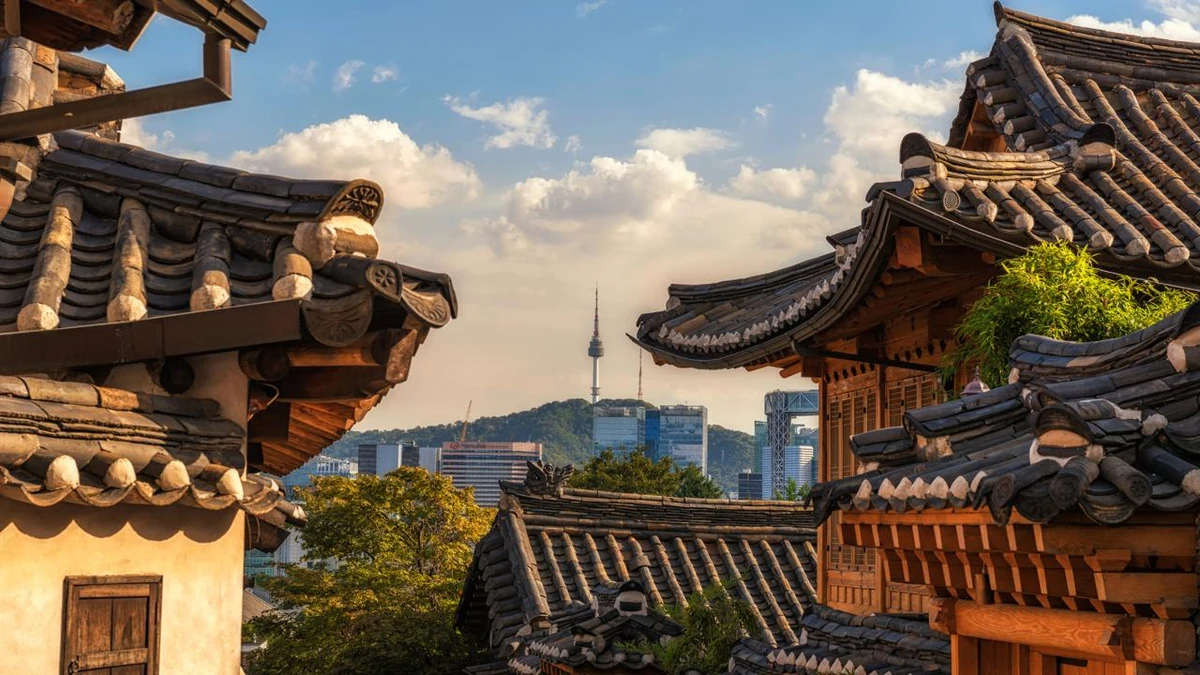 Seul por Reprodução