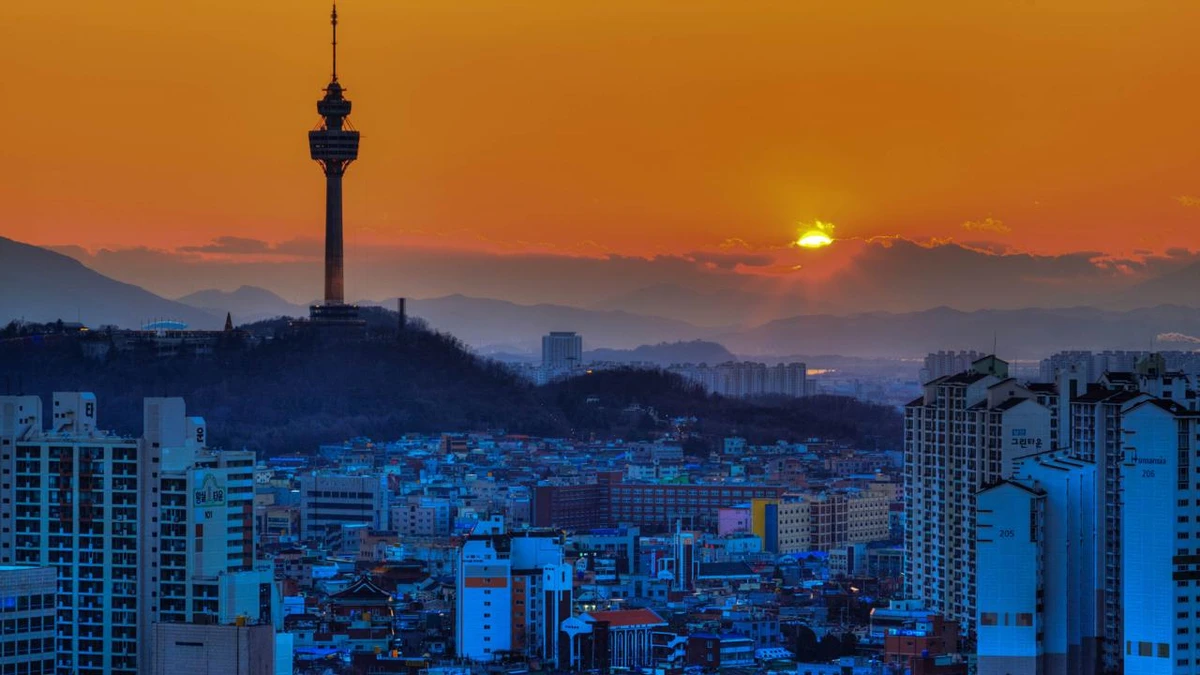 Seul por Reprodução