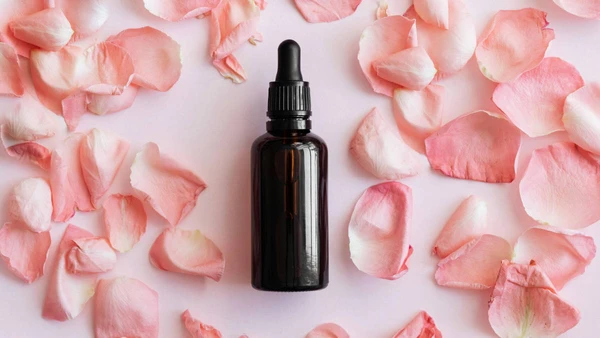 Dor nas articulações: por que a gaultéria virou queridinha nos cuidados naturais