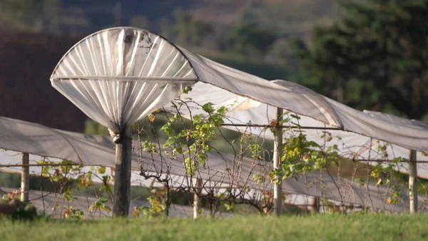 Veja por que Maria da Fé é o destino ideal para quem quer fugir do calor das metrópoles
