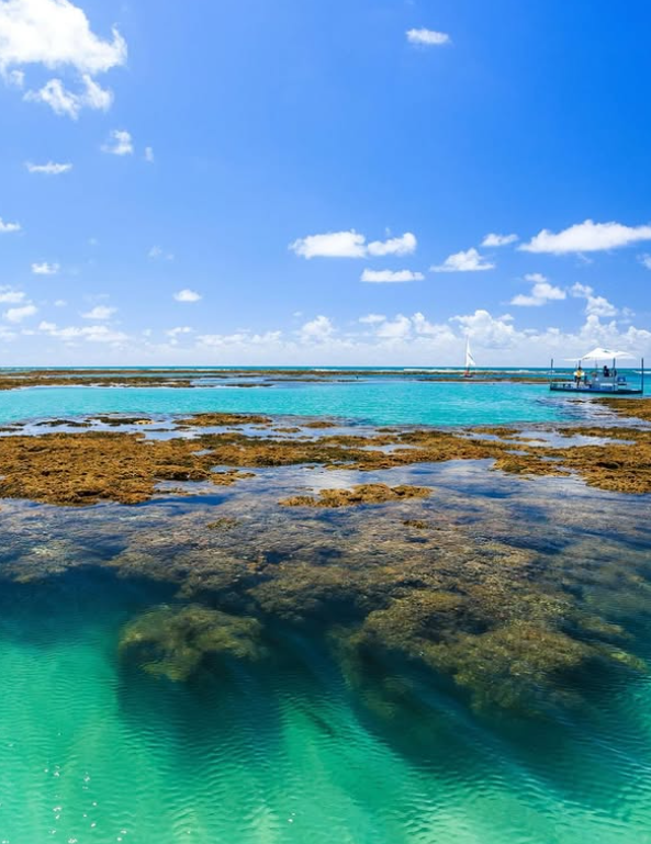 Detsino turístico é um dos mais famosos do Nordeste por Reprodução | Instagram