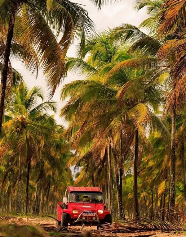 Detsino turístico é um dos mais famosos do Nordeste por Reprodução | Instagram