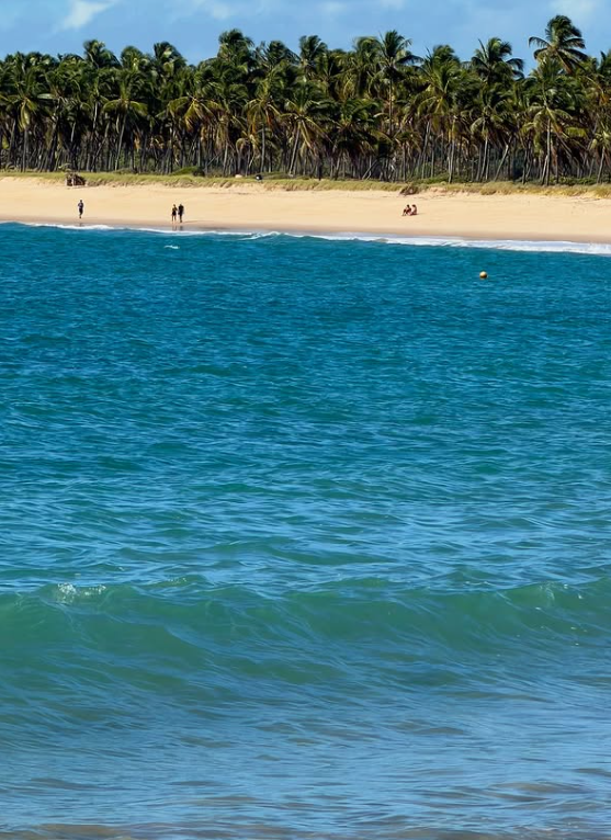 Detsino turístico é um dos mais famosos do Nordeste por Reprodução | Instagram