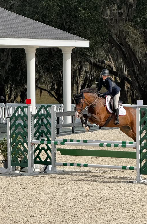  Gisele Bündchen compartilhou registros ao lado da família por Reprodução | Instagram