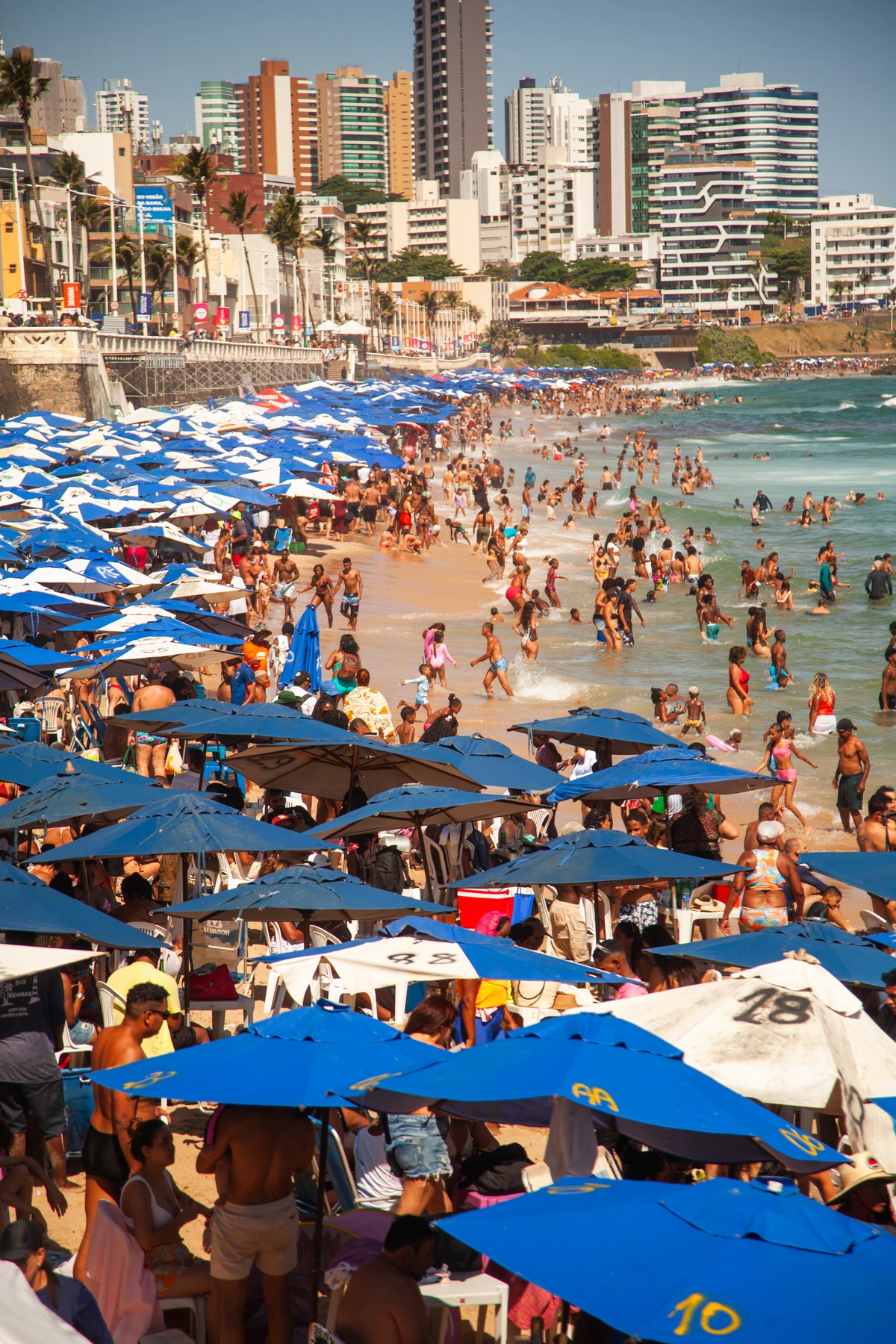 Praia sem perrengue por Sora Maia