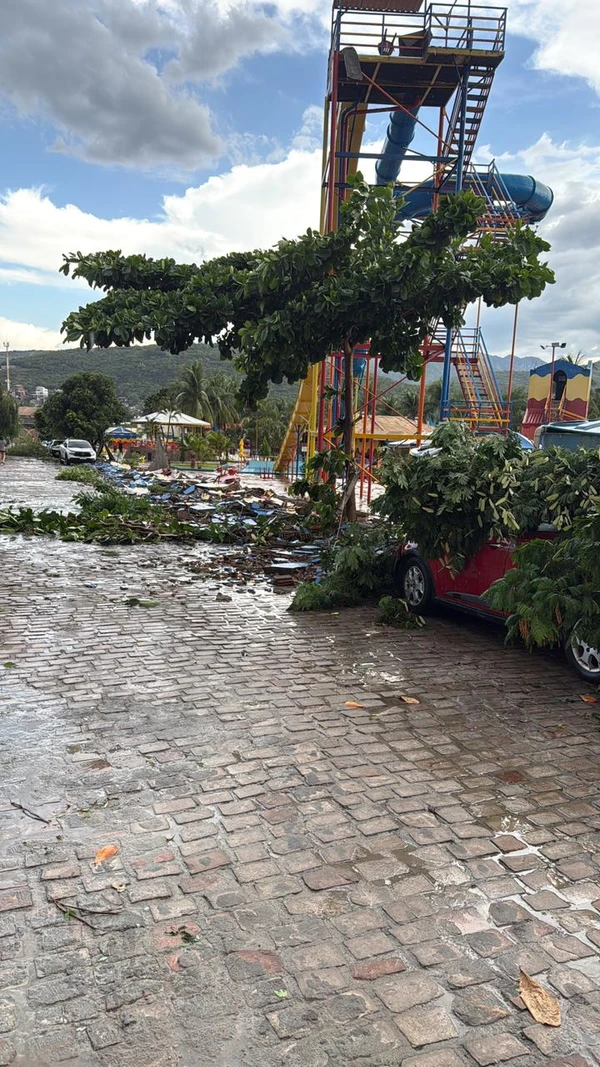 Moradores compartilharam os estragos encontrados por toda cidade por Reprodução