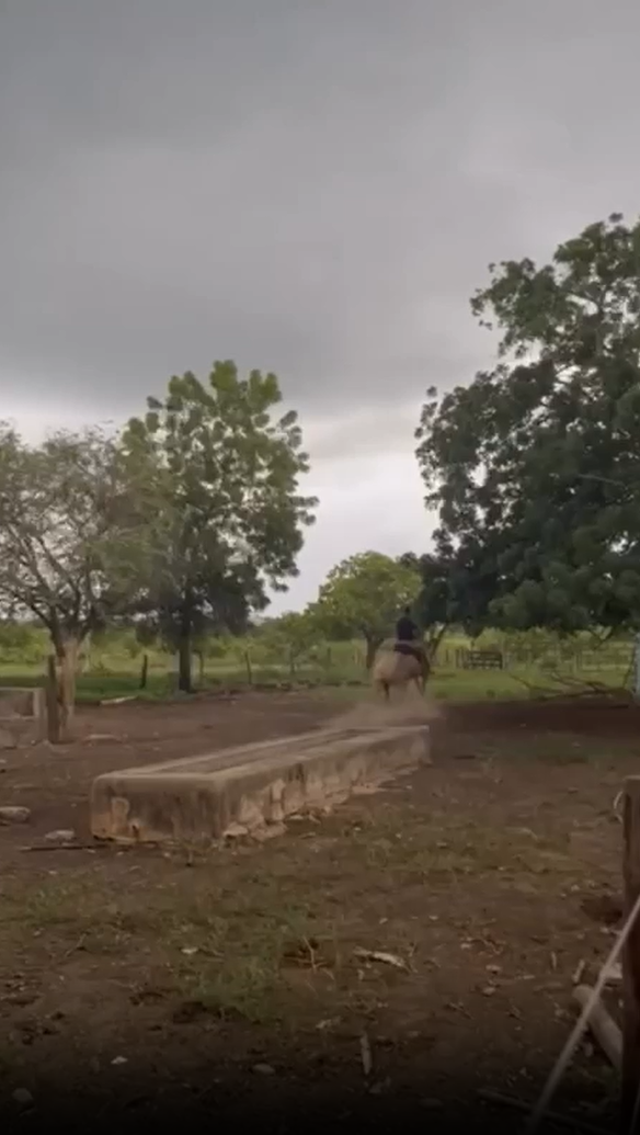 Homem quase é atingido por raio no interior da Bahia por Reprodução