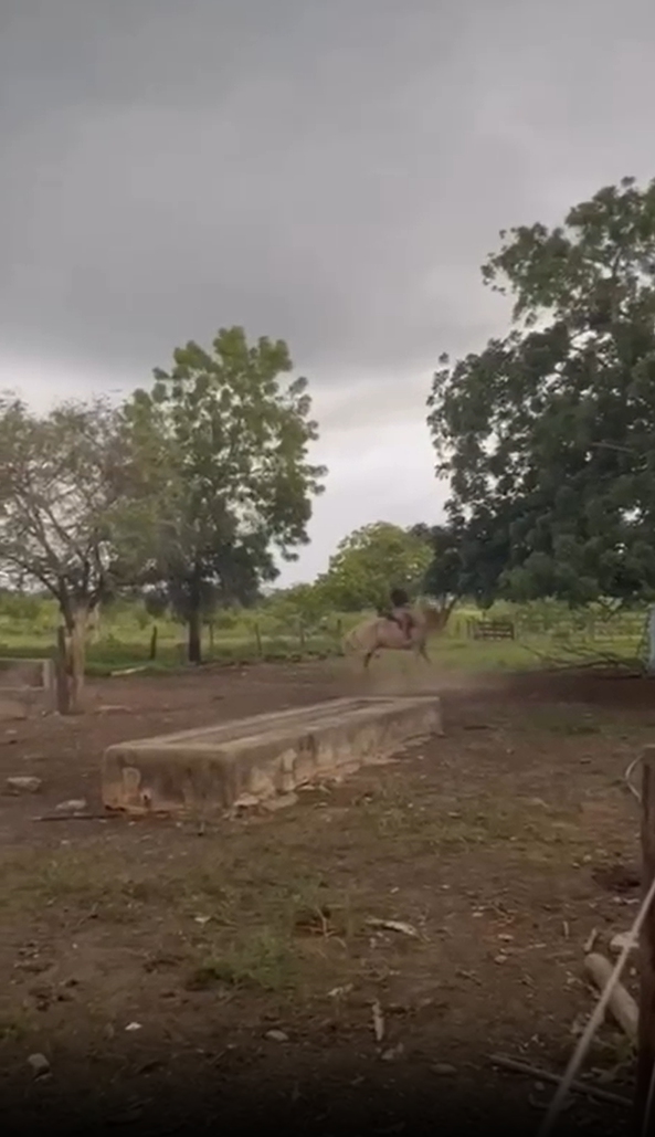 Homem quase é atingido por raio no interior da Bahia por Reprodução