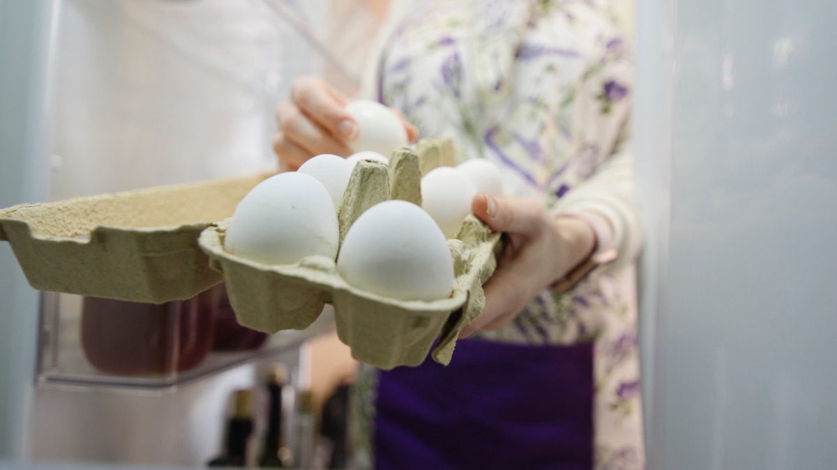 Veja as orientações de especialistas para manter a qualidade nutricional dos ovos por muito mais tempo