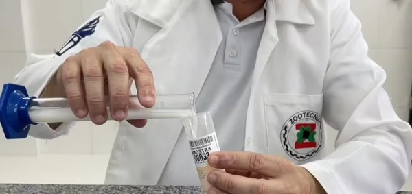 Leite de Jumenta por Divulgação