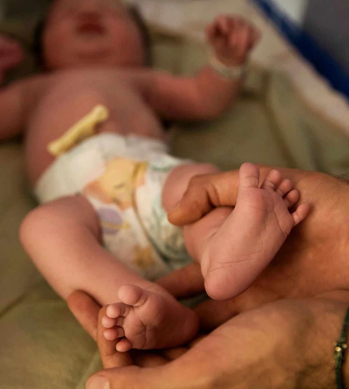 Nasce Zuza por Reprodução