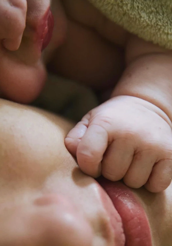 Nasce Zuza por Reprodução