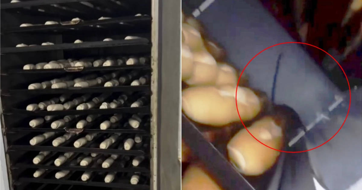 Imagem - Dono de supermercado é preso após fiscalização flagrar ratos andando em cima de pães