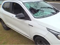 Imagem - Gari é atropelado enquanto trabalhava no canteiro central da Avenida Paralela