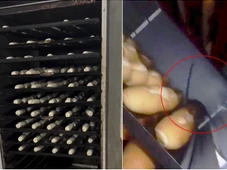 Imagem - Dono de supermercado é preso após fiscalização flagrar ratos andando em cima de pães