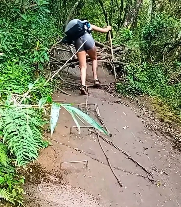 Publicações feita por amiga que abandonou jovem em trilha são criticadas nas redes  por Reprodução