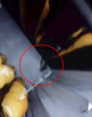 Rato foi flagrado andando em cima do pães por Reprodução/ Redes sociais