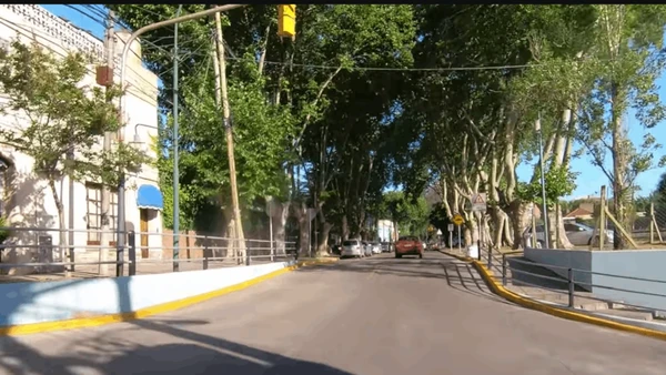 Saiba onde tirar as melhores fotos de outono em um bairro residencial charmoso