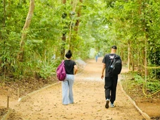 Imagem - Para além das praias: confira parques e espaços culturais gratuitos para lazer em Salvador